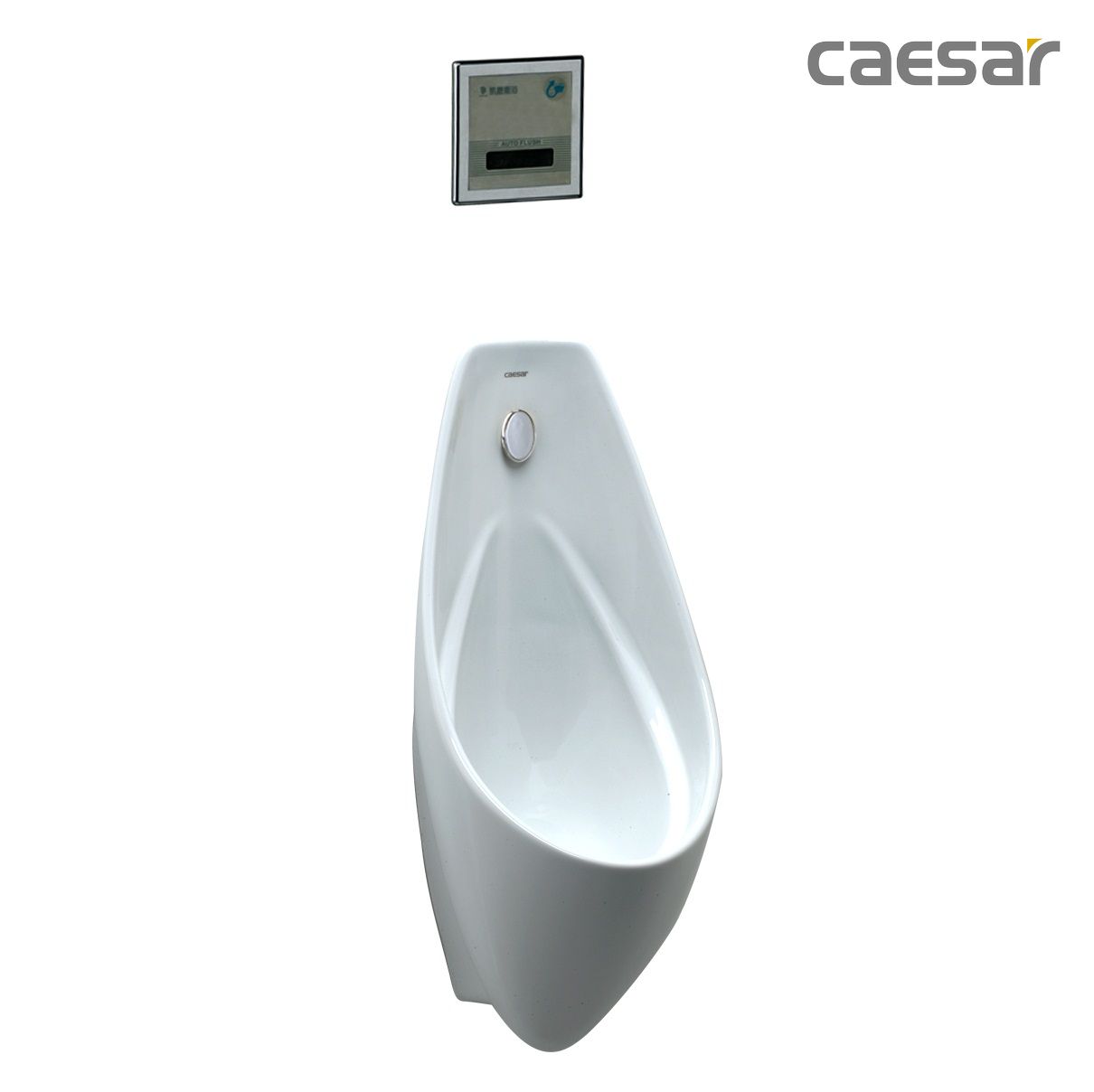 Bồn tiểu Caesar U0264-A637